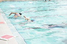 Enlarge photo 396
