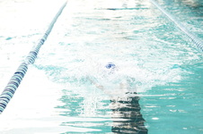 Enlarge photo 407