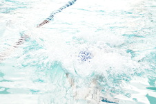 Enlarge photo 413
