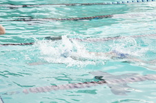 Enlarge photo 426