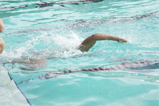 Enlarge photo 429