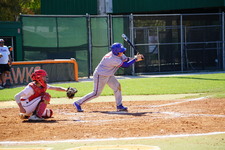 Enlarge photo 115