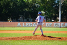 Enlarge photo 147