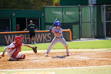 Enlarge photo 220