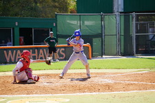 Enlarge photo 225