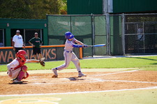 Enlarge photo 230