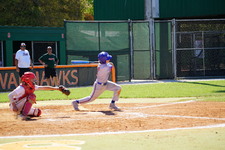 Enlarge photo 231