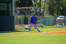 Enlarge photo 232