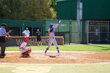 Enlarge photo 242