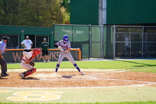 Enlarge photo 249