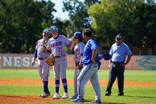 Enlarge photo 310