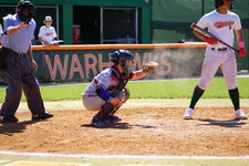 Enlarge photo 349