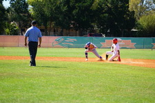 Enlarge photo 395