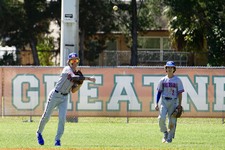 Enlarge photo 428
