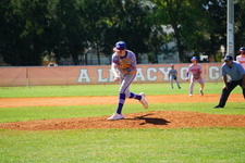 Enlarge photo 459