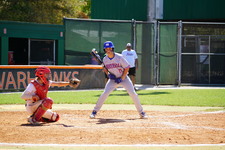Enlarge photo 477
