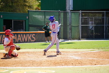 Enlarge photo 495