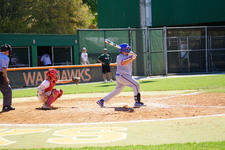 Enlarge photo 511