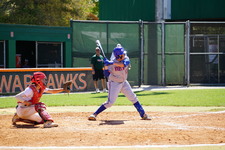 Enlarge photo 529