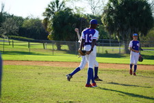 Enlarge photo 55