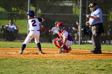 Enlarge photo 91