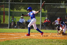 Enlarge photo 131