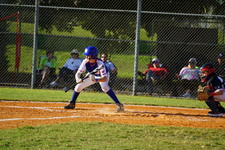 Enlarge photo 174