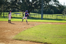 Enlarge photo 180