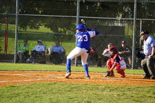 Enlarge photo 283