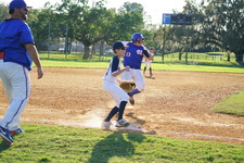 Enlarge photo 310