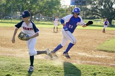 Enlarge photo 313
