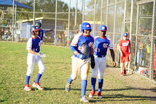 Enlarge photo 334