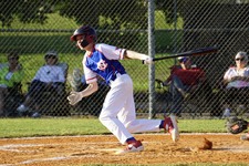 Enlarge photo 341