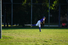 Enlarge photo 354
