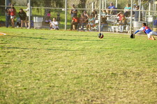 Enlarge photo 392