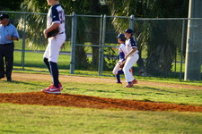 Enlarge photo 446