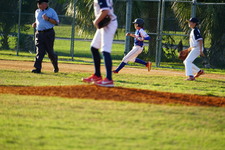 Enlarge photo 445