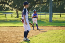 Enlarge photo 463