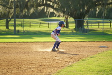 Enlarge photo 477