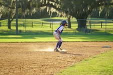 Enlarge photo 478
