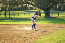 Enlarge photo 479