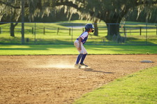 Enlarge photo 480