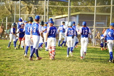 Enlarge photo 509