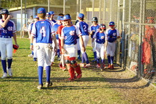 Enlarge photo 516