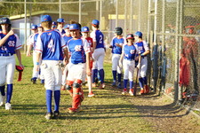 Enlarge photo 518