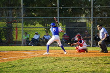 Enlarge photo 535