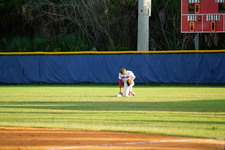 Enlarge photo 59