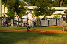 Enlarge photo 235