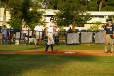 Enlarge photo 238