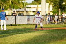 Enlarge photo 264